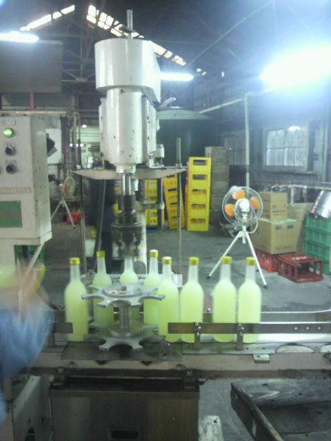 (3)�ӵͤ���3