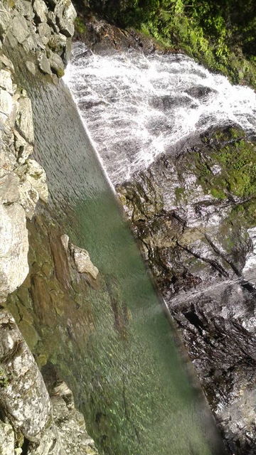 (10)��ζ����