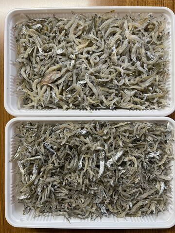 �̿�5  ���������㤳2