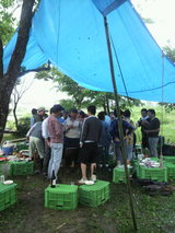 2010.6.15��ή������