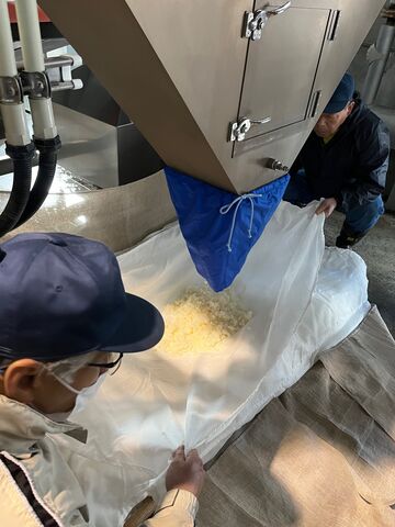 写真3 蒸米さまして出てくる