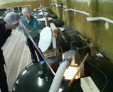 2007.1.22ݥ����