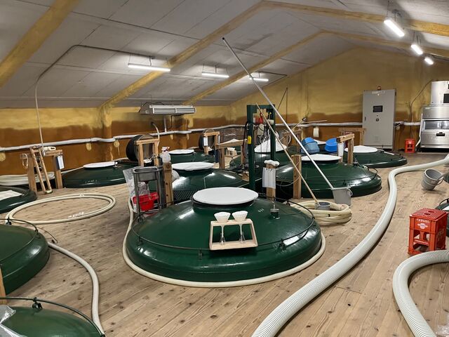 ¼Ì¿¿6 »Å¹þ¢