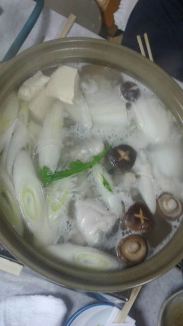 (17)������Ѥ���