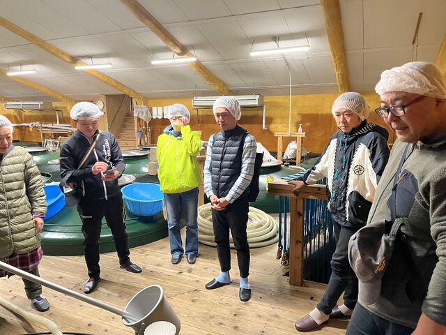 �̿�11  ����߸���