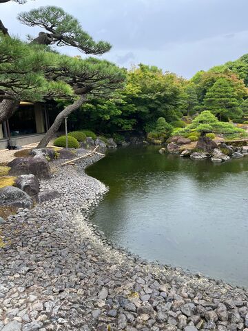 写真2 庭と池