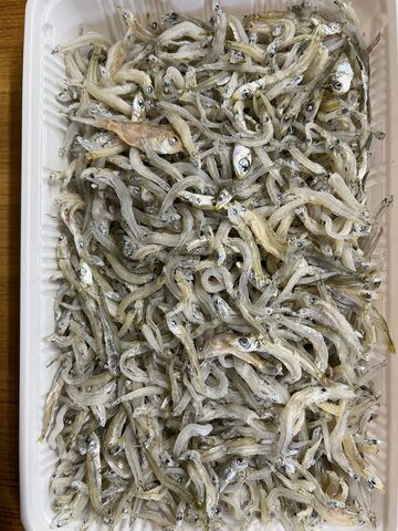 �̿�6 ���������㤳3