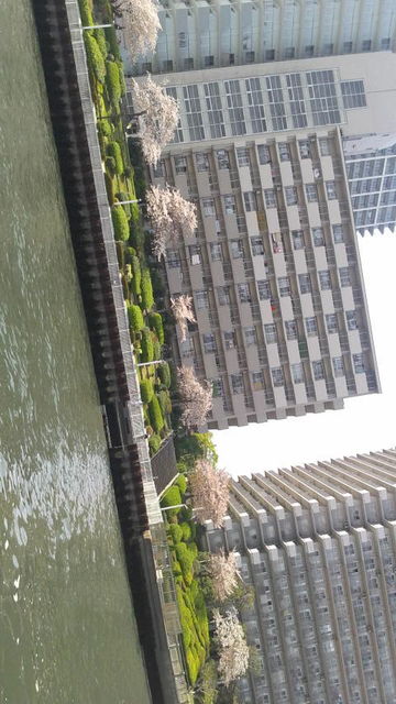 (7)�����ˤ鷺���˺�
