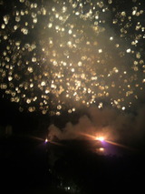 2011.8.11�ֲ�9