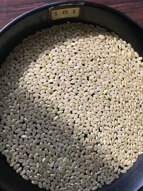 �̿�10 �ե��ҥ���2