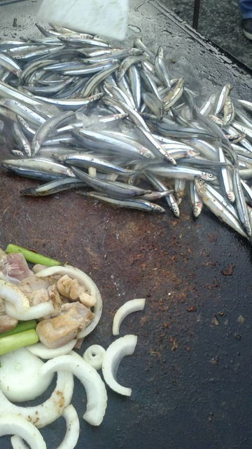 (18)���ӥʥ�