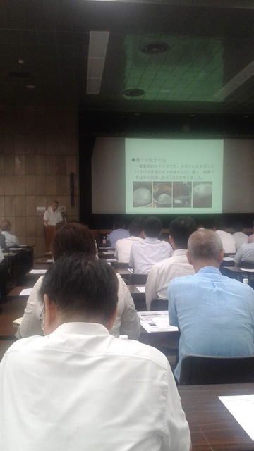 (7)���ٵ׶ӡ�ȯɽ2