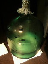 2010.6.1���ӰϤ�
