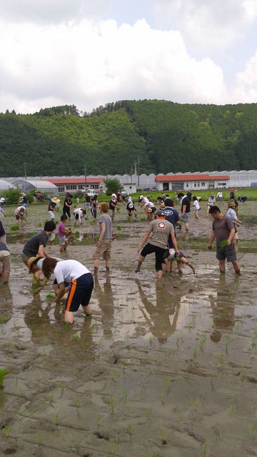 21(6)�Ŀ�������