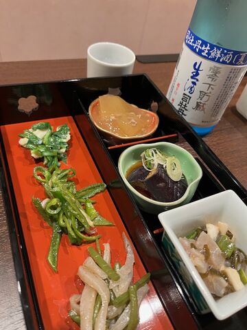 �̿�2  �����������������