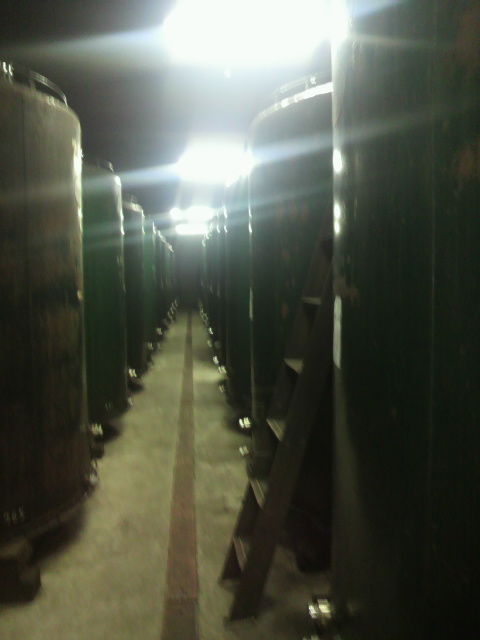 (10)���ͻ���������¤������¢��