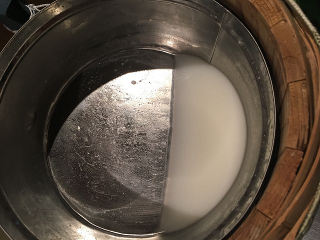 �̿�19 ����߼�⥹�å��饫��