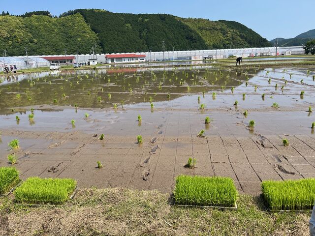 �̿�4  �Ĥ�ܤ���