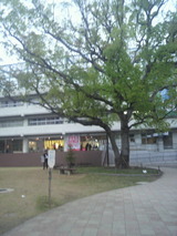 ��3331 Arts Chiyoda��