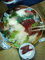 2009.2.3���ɿ�