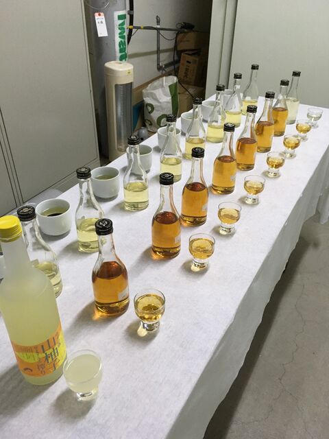 �̿�14 �ꥭ�塼��