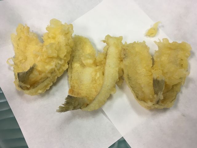 �̿�19 ŷ�פ�4����