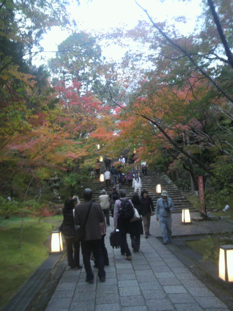 �����ӻ���ƻ�ι���
