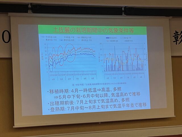 �̿�24  �ں���ξ���