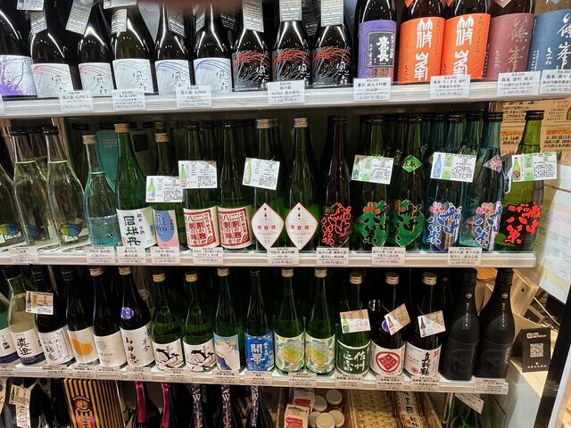 2024.6.14写真3 司牡丹ズラリ