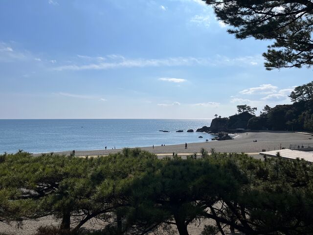 �̿�5  ����