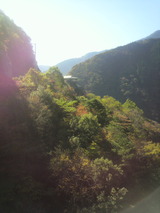 ���ؾ��Τ�����ë�����ۥƥ��į���