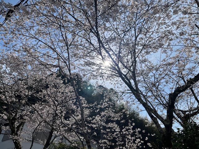 �̿�10  ����ƻ��夬��