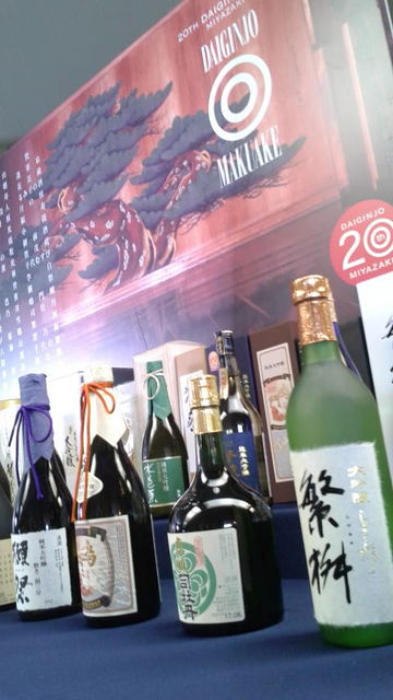 (10)�ʲ�ð�����ⲰŸ��