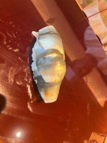 �̿�20 ���ϥ�