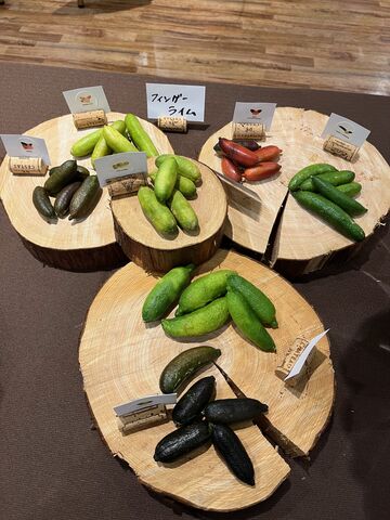 写真3 酢みかん・フィンガーライム