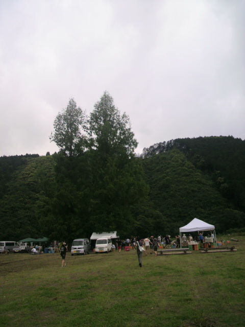 �᥿���������ι�����