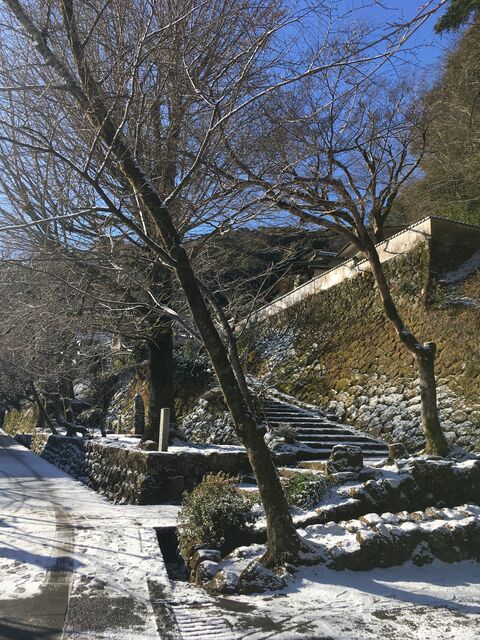 写真4 青源寺前の雪