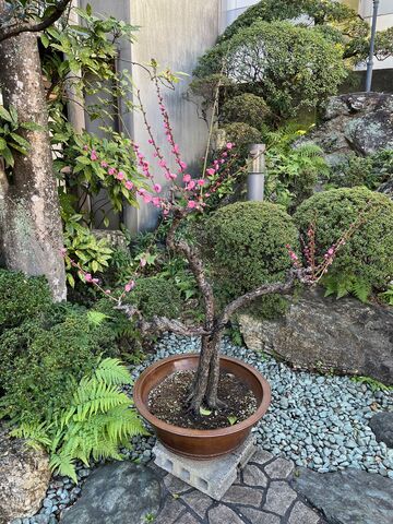 �̿�17  ���ؤ�����