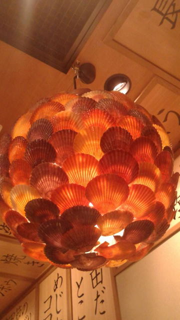 (19)Ĺ��Ϻ���Υ��ץ�������