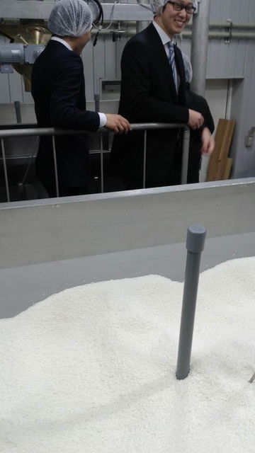 (8)�����ȥå��롼��