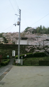 2010.3.30牧野公園遠景