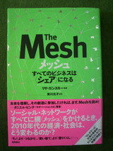 ��The Mesh��.jpg