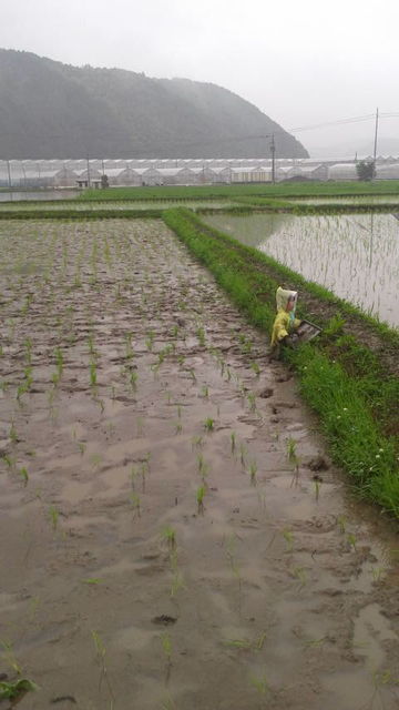 (10)お地蔵さん?!