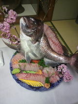 2011.3.7鯛の活造り