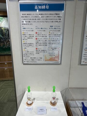 �̿�8  ���ι���ι���θ�