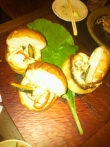 �ѥ�˥����塼