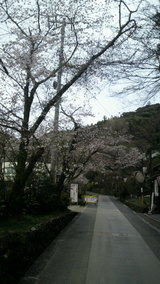 牧野公園入口付近