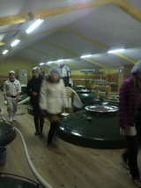 2013.2.18モロミ見学.jpg