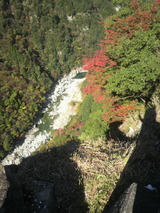 ����ë��