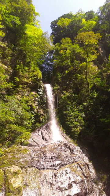 (11)��ζ����2